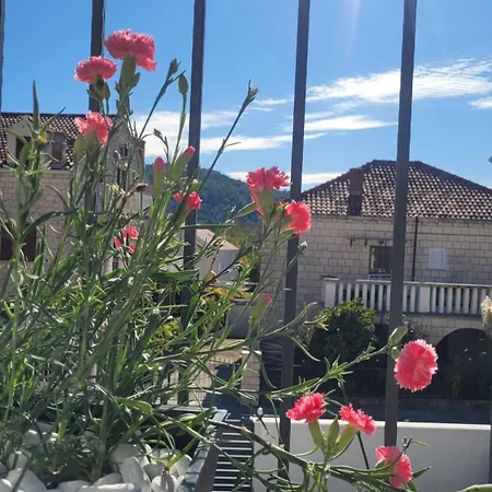 فيلة Pero & Jele